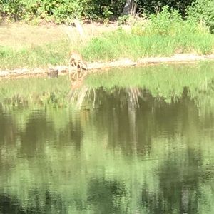 Meet your Posher, Sally